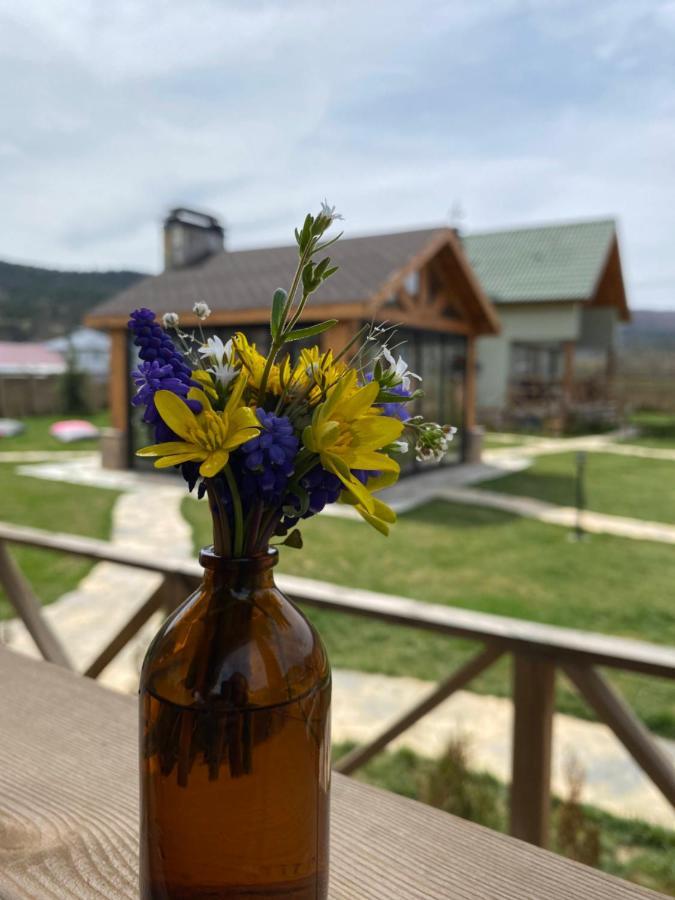 Abant Cozy Homes Homestay